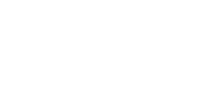 Soliana Sailing SSD logo footer